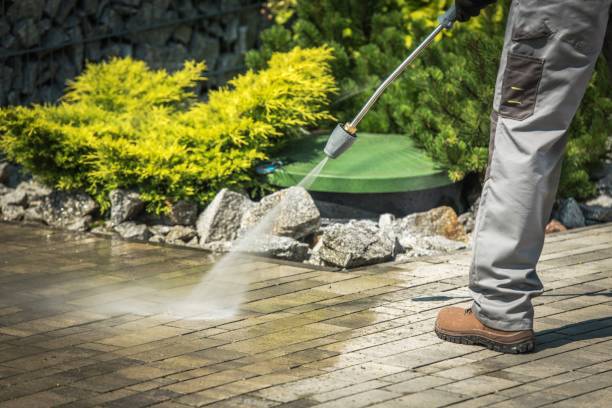 Best Pre-Holiday Cleaning  in Richmond Heights, FL
