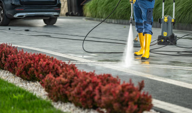Best Driveway Pressure Washing  in Richmond Heights, FL